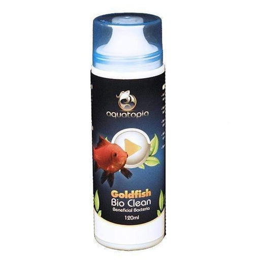 Aquarium Goldfish Care Health Aquatic Supplies Australia