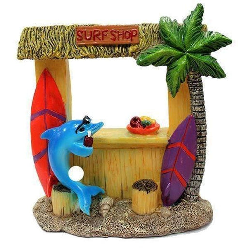 Aquatopia Hermit Crab Surf Shop Aquatic Supplies Australia