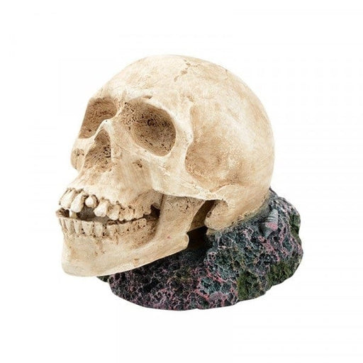 Bioscape Bubbler - Large Human Skull Aquatic Supplies Australia