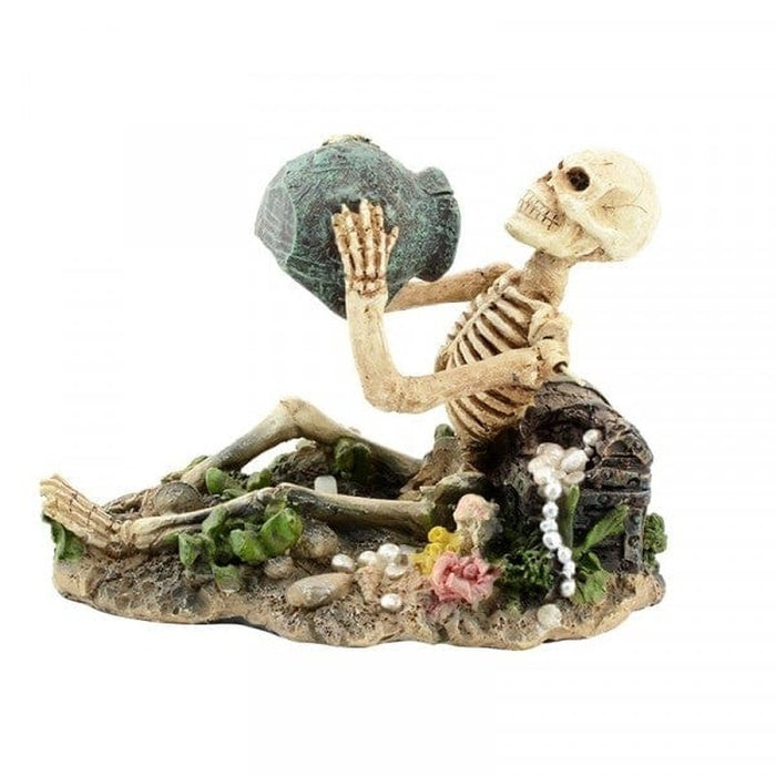 Bioscape Bubbler - Skeleton with Jug Aquatic Supplies Australia