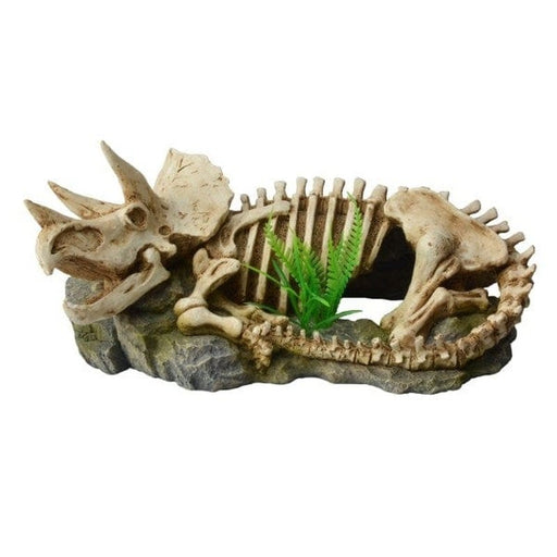 Bioscape Dinosaur Skeleton with Plant 25.5 x 12cm Aquatic Supplies Australia