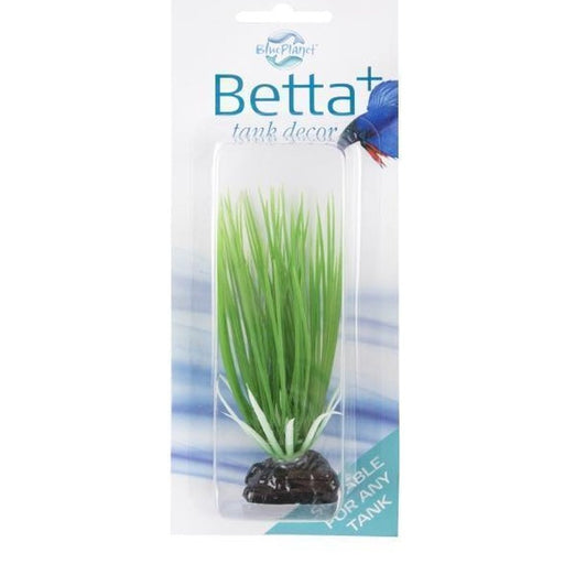 Blue Planet Betta+ Mini Plant Grass 10cm Aquatic Supplies Australia