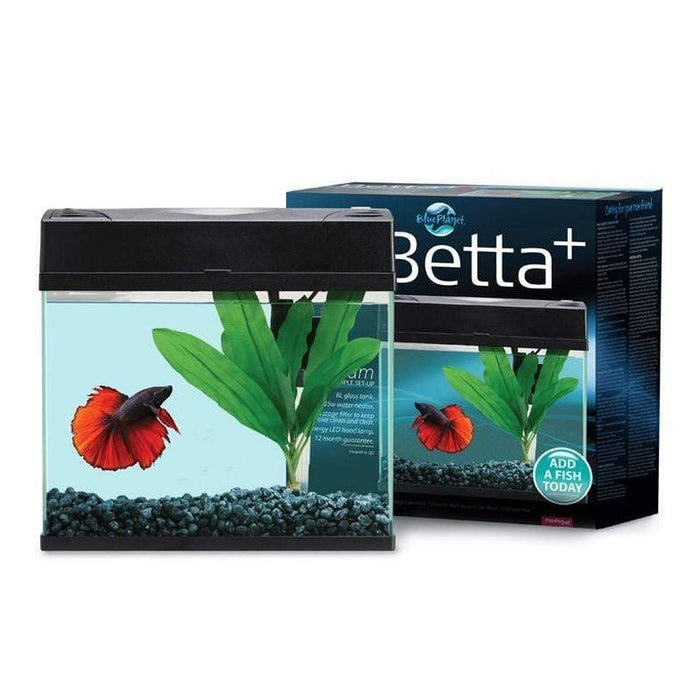 Blue Planet Betta Plus Tank 8L Aquatic Supplies Australia