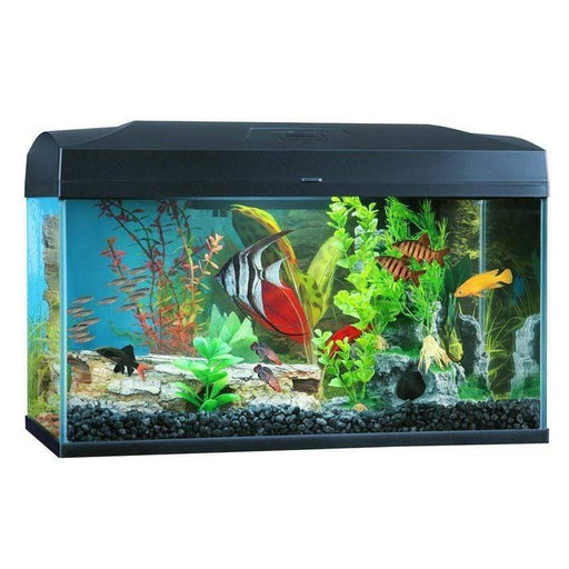 Blue Planet Classic 50 Aquarium (50L) with LED Aquatic Supplies Australia