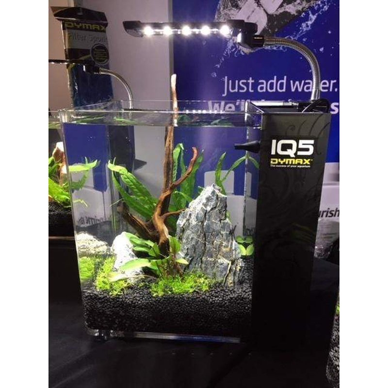 Dymax IQ5 Mini Acrylic Freshwater Aquarium - Black Onyx — Reef Supplies  Canada