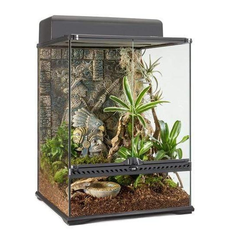 Exo terra hot sale terrarium accessories