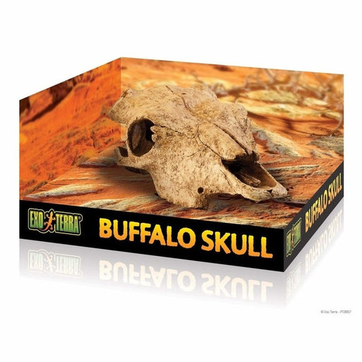 Exo Terra Buffalo Skull Hiding Place Medium Aquatic Supplies Australia