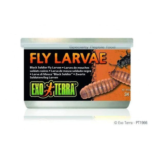 Exo Terra Canned Food 34g Black Soldier Fly Larvae Aquatic Supplies Australia
