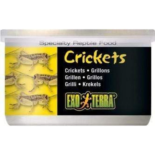 Exo Terra Canned Food 34g Crickets Aquatic Supplies Australia