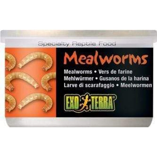 Exo Terra Canned Food 34g Mealworms Aquatic Supplies Australia