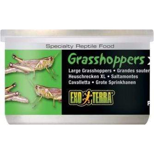 Exo Terra Canned Food 34g XL Grasshoppers Aquatic Supplies Australia