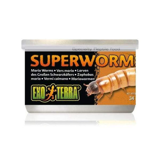 Exo Terra Canned Superworms 34gm Aquatic Supplies Australia