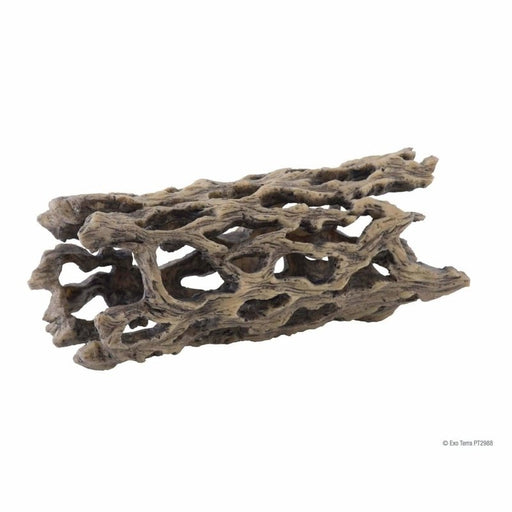 Exo Terra Cholla Cactus Skeleton Aquatic Supplies Australia