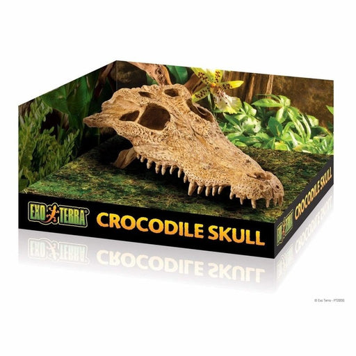 Exo Terra Crocodile Skull Hiding Place Aquatic Supplies Australia