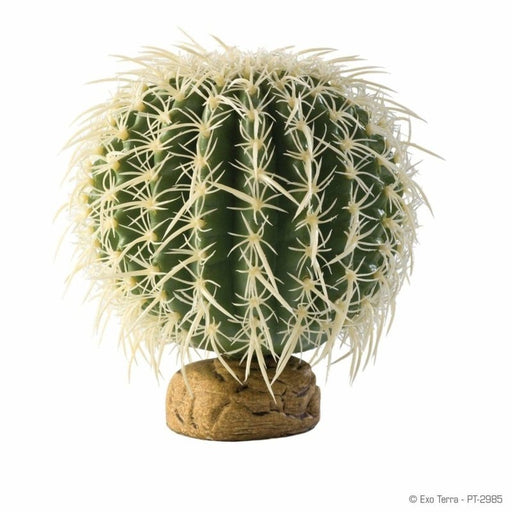 Exo Terra Desert Ground Plant Barrel Cactus Medium 13cm Aquatic Supplies Australia