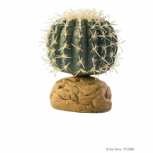 Exo Terra Desert Ground Plant Barrel Cactus Small 7cm Aquatic Supplies Australia