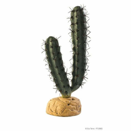 Exo Terra Desert Ground Plant Finger Cactus 20cm Aquatic Supplies Australia