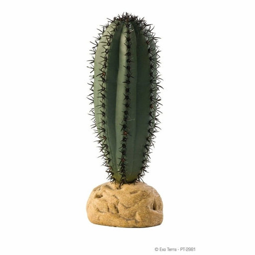 Exo Terra Desert Ground Plant Saguaro Cactus 16cm Aquatic Supplies Australia