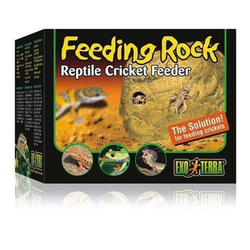 Exo Terra Feeding Rock / Reptile Cricket Feeder Aquatic Supplies Australia