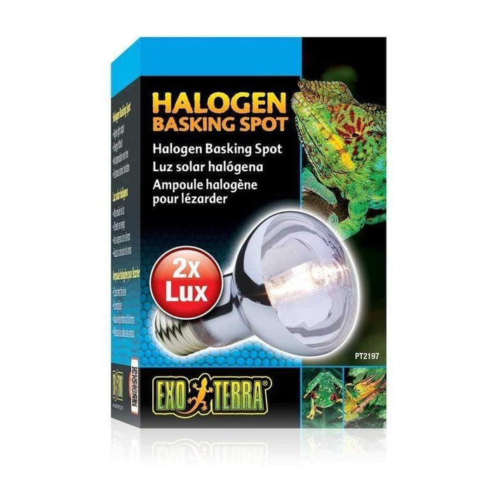 Exo Terra Halogen Basking Spot Aquatic Supplies Australia