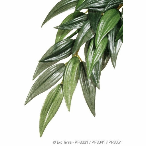 Exo Terra Hanging Forest Plants Ruscus (Silk) Aquatic Supplies Australia