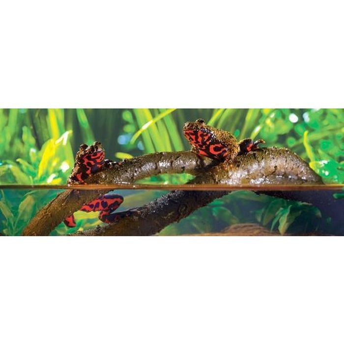 Exo Terra Jungle Vines Aquatic Supplies Australia