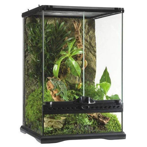 Exo Terra Natural Terrarium Mini/Tall 30 x 30 x 45 cm Aquatic Supplies Australia