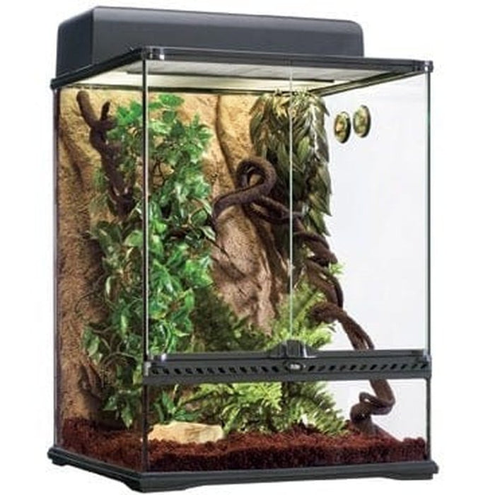 Exo Terra Rainforest Habitat Kit Medium 45 x 45 x 60cm Aquatic Supplies Australia