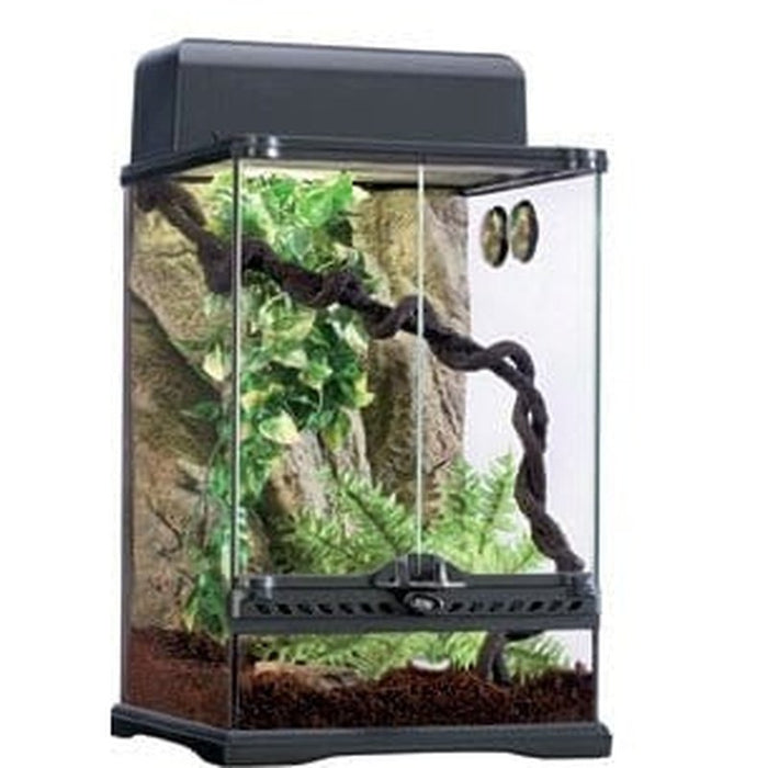 Exo Terra Rainforest Habitat Kit Small 30 x 30 x 45cm Aquatic Supplies Australia