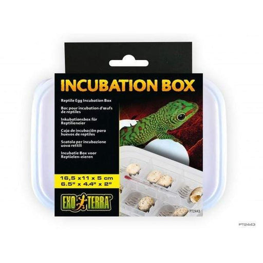 Exo Terra Reptile Egg Incubation Box Aquatic Supplies Australia