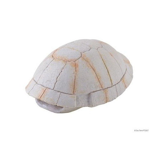 Exo Terra Tortoise Shell Aquatic Supplies Australia