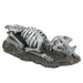 Fauna Sabre Tooth Tiger Fossil Aquatic Supplies Australia