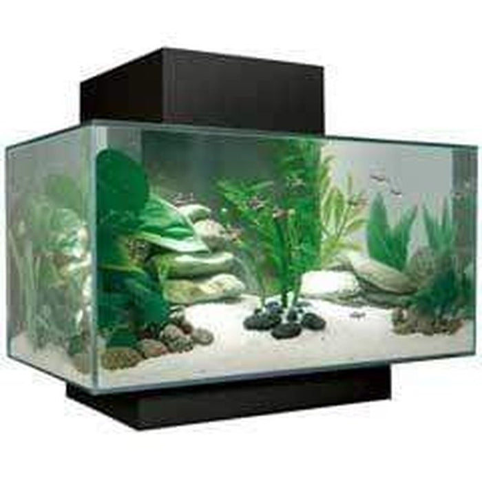 Fluval EDGE 2.0 LED Aquarium Black 23L Aquatic Supplies Australia