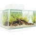 Fluval EDGE 2.0 LED Aquarium White 23L Aquatic Supplies Australia