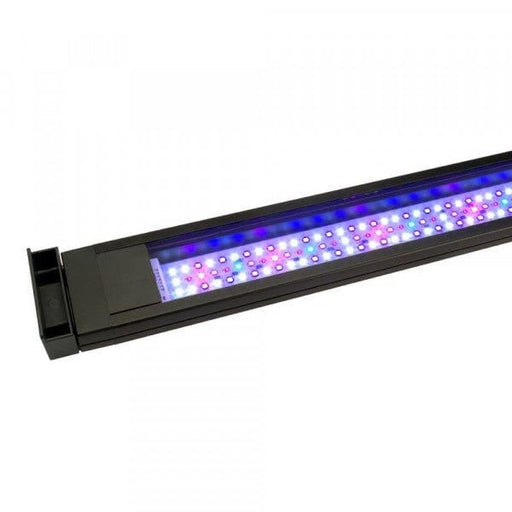 Fluval Marine 3.0 LED for Flex Saltwater Aquarium 123L (14513-EU AUS) Aquatic Supplies Australia