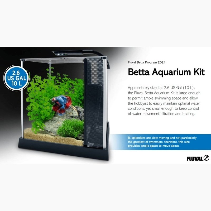 Betta Fish Aquarium - Aquatic Supplies Australia