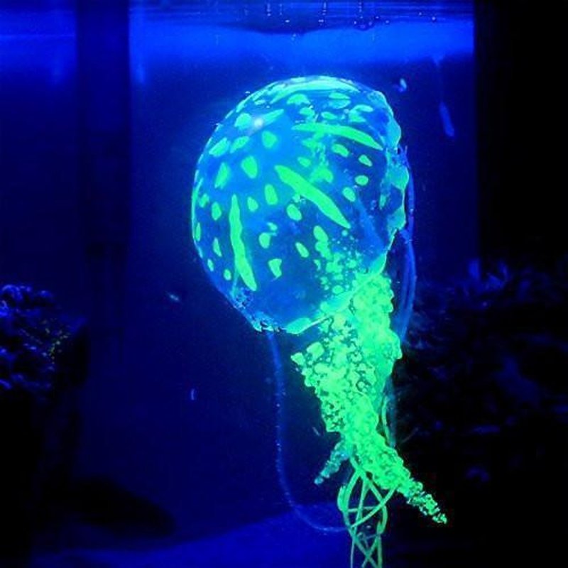 Glow in the Dark Jellyfish 