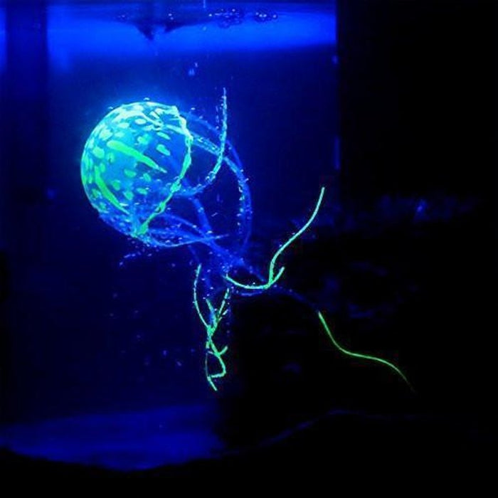 Glow in the Dark Jellyfish Small Aquatic Supplies Australia