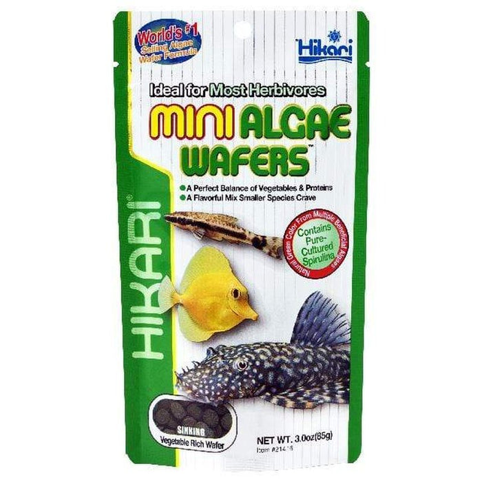 Hikari Mini Algae Wafer Aquatic Supplies Australia