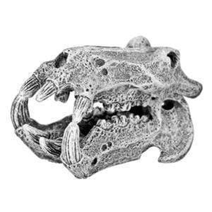 Hippo Skull 5 x 5cm Aquatic Supplies Australia