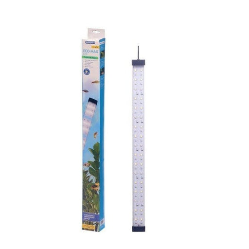 Interpet Eco-Max LED 60cm 13.5W 8000K Aquatic Supplies Australia