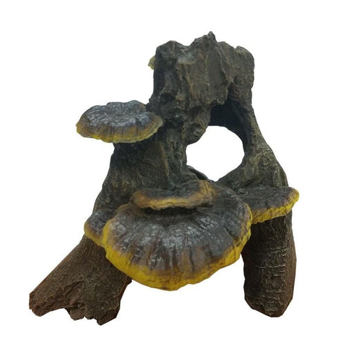 iPetz Fungi on Driftwood 17 x 16 x 17cm Aquatic Supplies Australia