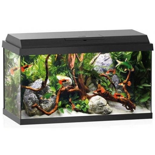 Juwel Primo 60 Aquarium Black (57L) Aquatic Supplies Australia