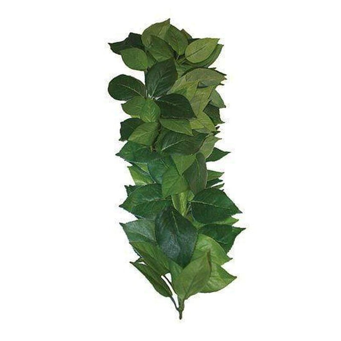 Komodo Ficus Silk Hanging Vine 35cm Aquatic Supplies Australia