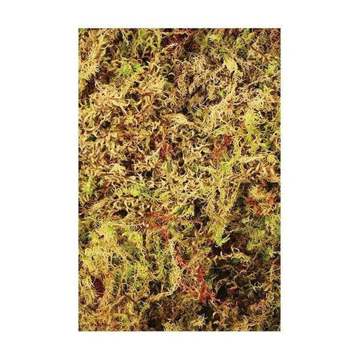 Komodo Habitat Moss Brick Bedding 100g Aquatic Supplies Australia