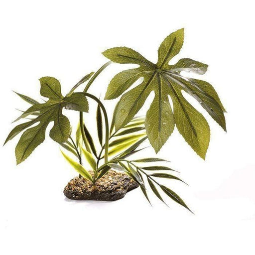 Komodo Jungle Canopy Plant 42cm Aquatic Supplies Australia