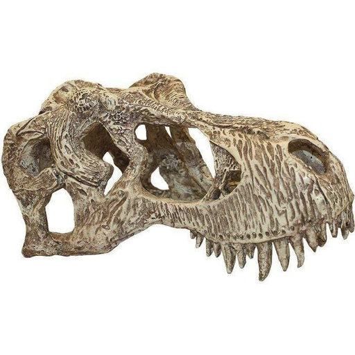 Komodo T-Rex Skull Aquatic Supplies Australia