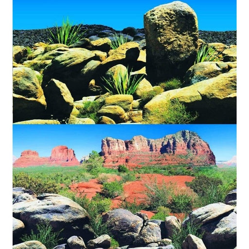 Marina Seaview Background Arizona Desert 30cm High Aquatic Supplies Australia