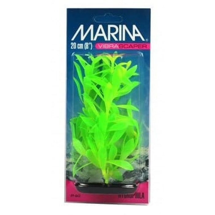 Marina Vibrascaper Medium Hygrophilia Plant 20cm Aquatic Supplies Australia