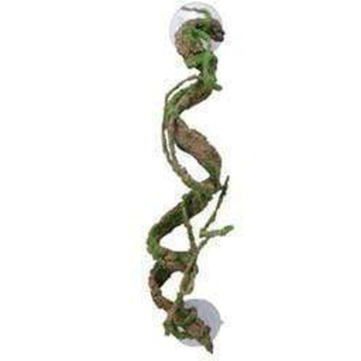 Eco Tech Corkscrew Vine with Moss 30cm Aquatic Supplies Australia